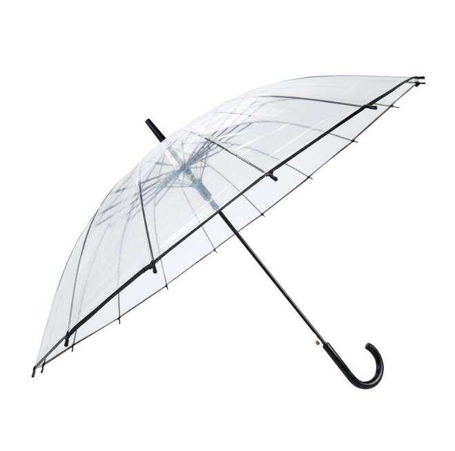 Creativity Transparent Umbrella 